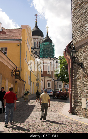 Gepflasterte Straße führt zu Alexander Nevsky Cathedral, Domberg, Old Town, Tallinn, Estland Stockfoto