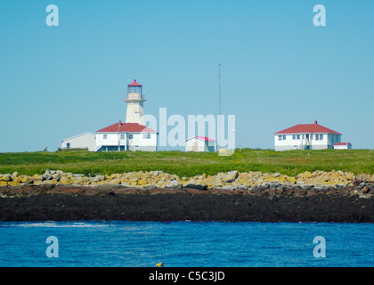 Der Leuchtturm und Beobachtung Station auf Machias Seal Island, New Brunswick, Kanada. Stockfoto