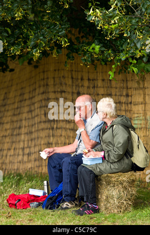 Picknick Stockfoto