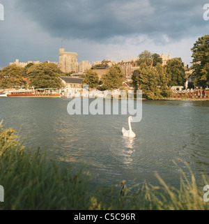 Windsor Castle angesehen, über die Themse aus Bereichen von Eton, England, Großbritannien, GB, UK Stockfoto