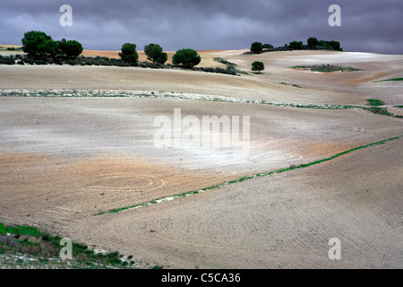 Landschaft im Medjerda-Tal in der Nähe von Testour, Tunesien Stockfoto