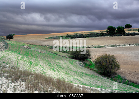 Landschaft im Medjerda-Tal in der Nähe von Testour, Tunesien Stockfoto