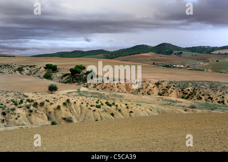 Landschaft im Medjerda-Tal in der Nähe von Testour, Tunesien Stockfoto