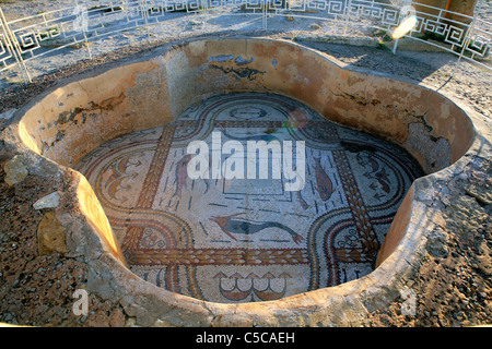 Baptisterium Becken von der byzantinischen Kirche von Vitalis (6. Jh.), Sbeitla, Tunesien Stockfoto