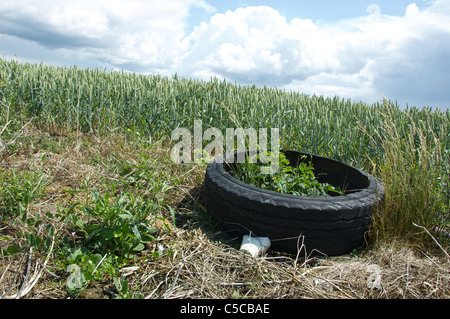 Müll geworfen in ein Feld Suffolk, England Stockfoto