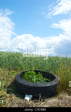 Müll geworfen in ein Feld Suffolk, England Stockfoto