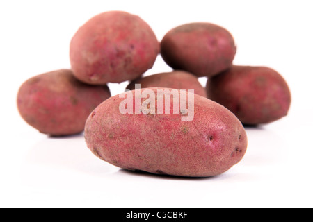 Red Duke of York Kartoffeln auf einem weißen Hintergrund Stockfoto