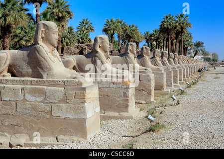 Amun-Re-Tempel, Karnak, Ägypten Stockfoto