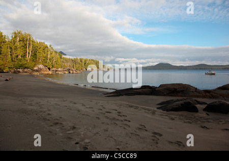 Sandstrand vor Catface Berg in der Nähe von Tofino BC bei Ebbe an einem Sommerabend Stockfoto