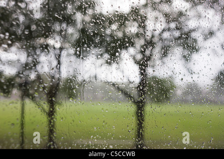 Regentropfen auf einer Glasscheibe mit einem städtischen Park Hintergrund Fenster. Stockfoto