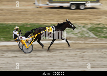 Trabrennen. Pferderennen. Canfield Fair. Mahoning County Fair. Canfield, Ohio, USA. Stockfoto