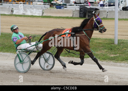 Trabrennen. Pferderennen. Canfield Fair. Mahoning County Fair. Canfield, Ohio, USA. Stockfoto