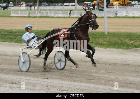 Trabrennen. Pferderennen. Canfield Fair. Mahoning County Fair. Canfield, Ohio, USA. Stockfoto