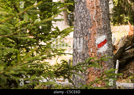 Rot weiß rotes Schild an einem Baum an den richtigen Weg auf Bergweg Stockfoto