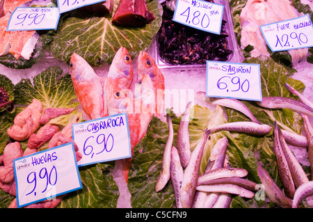 Frischfisch auf Eis auf Sales bei einem Fischhändler Stockfoto