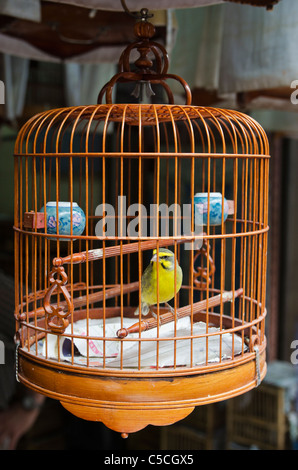 Ein Singvogel hocken in seinem reich verzierten hölzernen Käfig an der Yuen Po Street Bird Garden, Hongkong Stockfoto