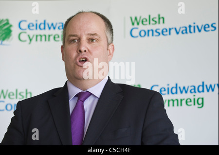 Andrew RT Davies leite der walisischen Konservativen in der Nationalversammlung von Wales, Ratsmitglied für Südwales-Zentrale Stockfoto