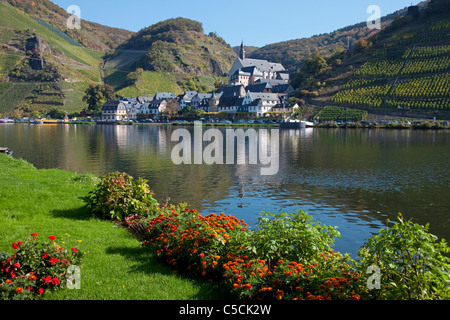 Moselufer Mit Blumen, Beilstein Im Herbst Mittelmosel, Blumen an der Mosel, das Dorf Beilstein im Herbst Stockfoto