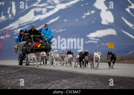 Touristen fahren einen Hundeschlitten in Svalbard Stockfoto