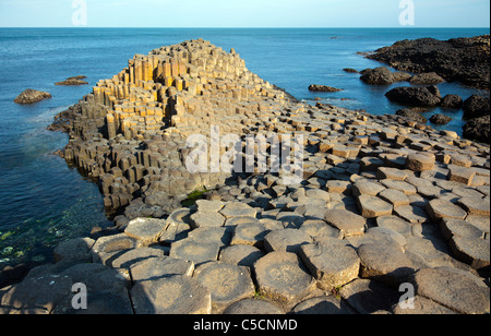 Giant es Causeway County Antrim-Nordirland Stockfoto