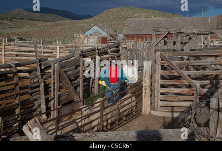 Nevada Schafe Ranch Stockfoto