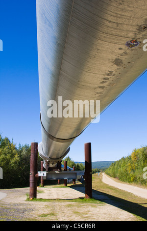 Alyeska-Trans-Alaska-Pipeline System (TAPS) in Alaska. Stockfoto