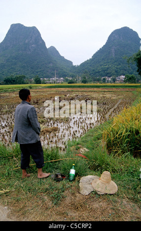 Landwirt Umfragen Reis Feld mit Enten füttern in Guilin, China Stockfoto