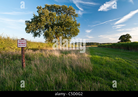 Ein "No public right of way" Schild neben einem breiten Feldrand und einer Ernte von grünem Elefantengras (Miscanthus), Holdenby, Northamptonshire, England. Stockfoto