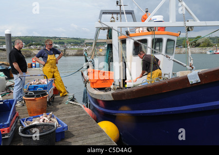 Angelboot/Fischerboot Landung Fisch am Burry Port Hafen Carmarthenshire Wales Cymru UK GB Stockfoto