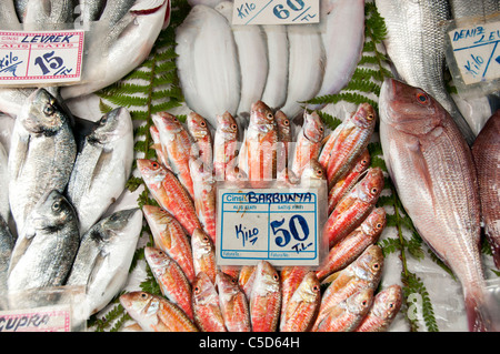 Fish Monger Markt Golden Horn Galata-Brücke-Türkei Stockfoto