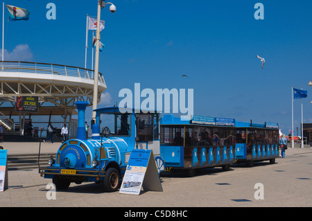 Trainieren Sie für Touristen am Strand Scheveningen Bezirk Den Haag den Haag Provinz Süd-Holland Niederlande-Europa Stockfoto