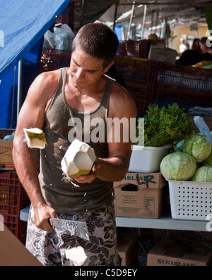 Kokos-Anbieter Stockfoto