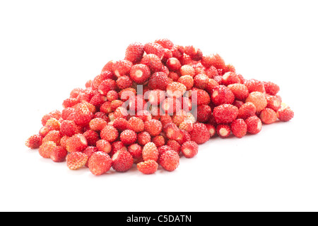 Reihe von wilden Erdbeeren auf weißem Hintergrund Stockfoto