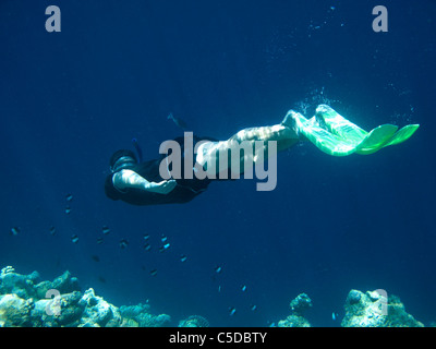 Schnorcheln mit schwarzen Pyramide Butterflyfish im warmen Meer. Coco Palm Dhuni Kolhu. Baa Atoll, Malediven. Stockfoto