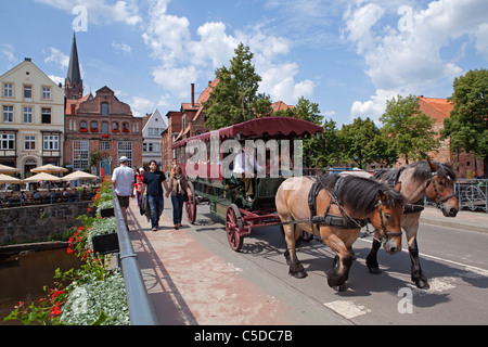 Kutsche mit Pferden, bin weist, Lüneburg, Niedersachsen, Deutschland Stockfoto