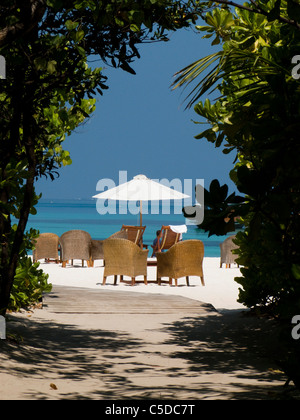 Der Pfad führt an der Strandbar. Coco Palm Dhuni Kolhu. Baa Atoll, Malediven. Stockfoto