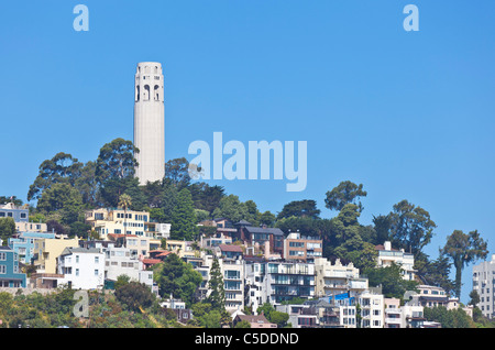 Coit Tower auf dem Telegraph Hill Pioneer Park San Francisco Kalifornien, Vereinigte Staaten von Amerika USA Stockfoto
