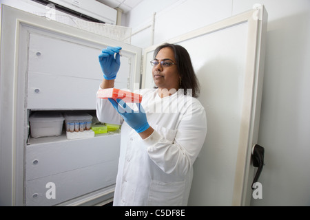 Laborantin Überprüfung Proben aus a - 86˚-Gefrierschrank an der Leeds Metropolitan University.Bio chemisches Labor Stockfoto