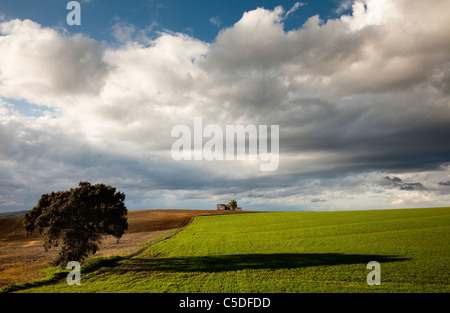 Bilder von der Landschaft Andalusiens am Abend Stockfoto