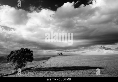 Bilder von der Landschaft Andalusiens am Abend Stockfoto