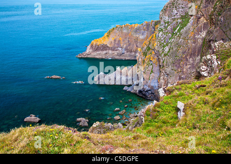 Felsige Küste und Klippen bei Baggy zeigen eine Landzunge in der Nähe von Croyde, North Devon, England, UK Stockfoto
