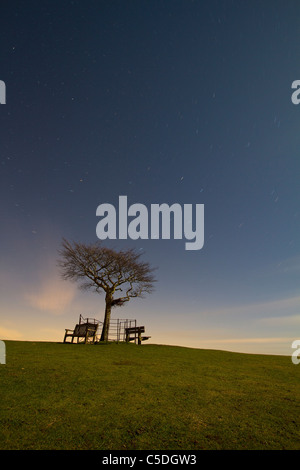 Sterne Rotation um ein einsamer Baum auf Cleeve Hill, Cheltenham Stockfoto