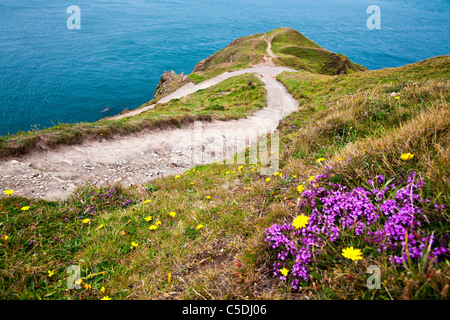 Ansicht von Baggy Punkt einer Landzunge in der Nähe von Croyde, North Devon, England, UK Stockfoto