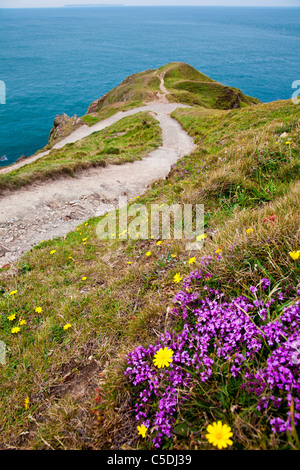 Blick auf Baggy Punkt einer Landzunge in der Nähe von Croyde, North Devon, England, UK mit Lundy Island in der Ferne. Stockfoto