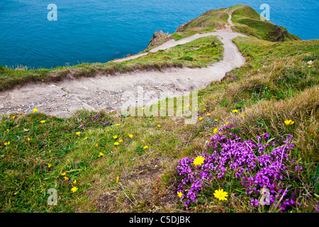 Ansicht von Baggy Punkt einer Landzunge in der Nähe von Croyde, North Devon, England, UK Stockfoto