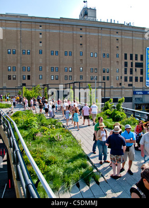 Menschen Flanieren auf der High Line, eine 1-Meile New York City Park auf einem Abschnitt der ehemaligen erhöhte Eisenbahn an der niedrigeren Westseite. Stockfoto