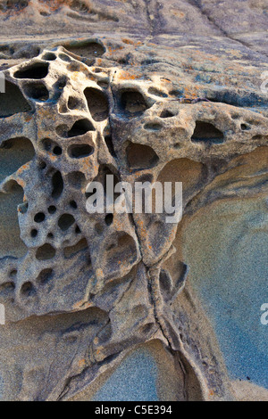 Tafoni Formationen in den Felsen entlang der kalifornischen Central Coast. Stockfoto