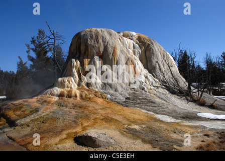 Mammut Thermalquelle, Orange Spring Mound, Yellowstone NP. Montana, USA Stockfoto