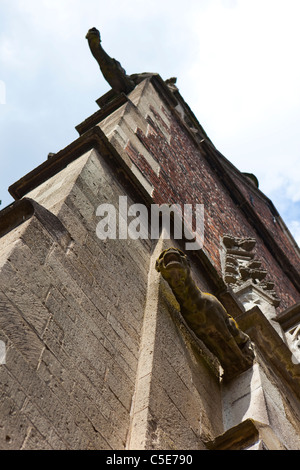 Wasserspeier an der Dom-Kerk, Utrecht Stockfoto