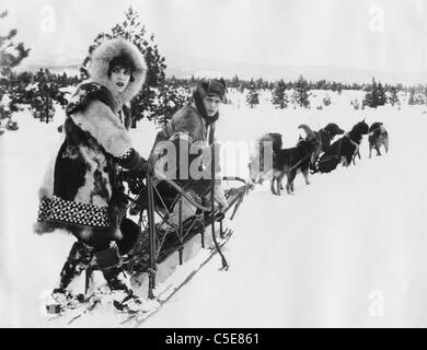 Iditarod Stockfoto
